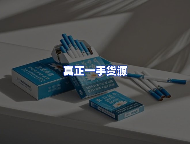 专业团队